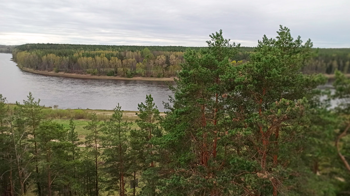 Daugavpils forests