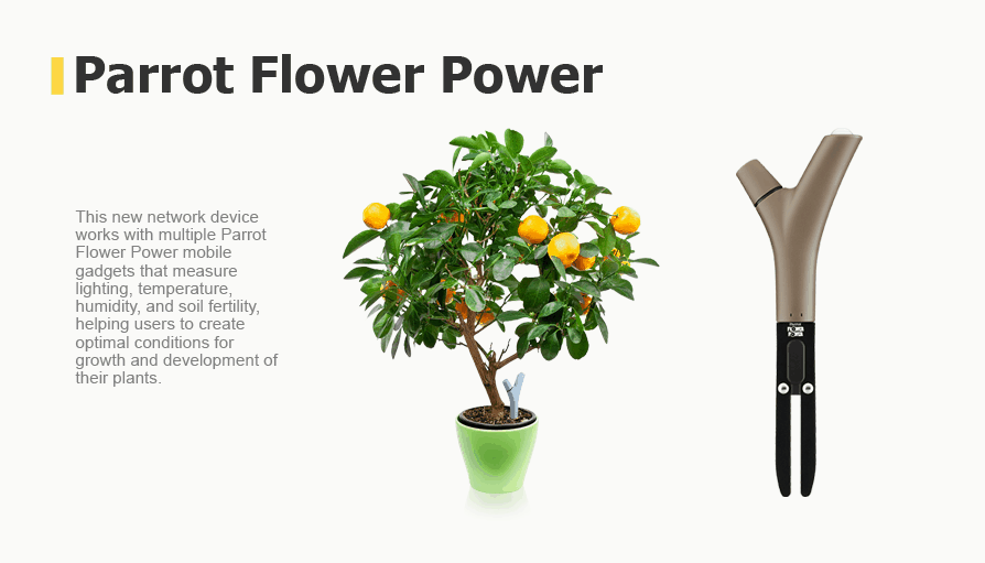 network device works with multiple Parrot Flower Power mobile gadgets that measure lighting, temperature, humidity, and soil fertility