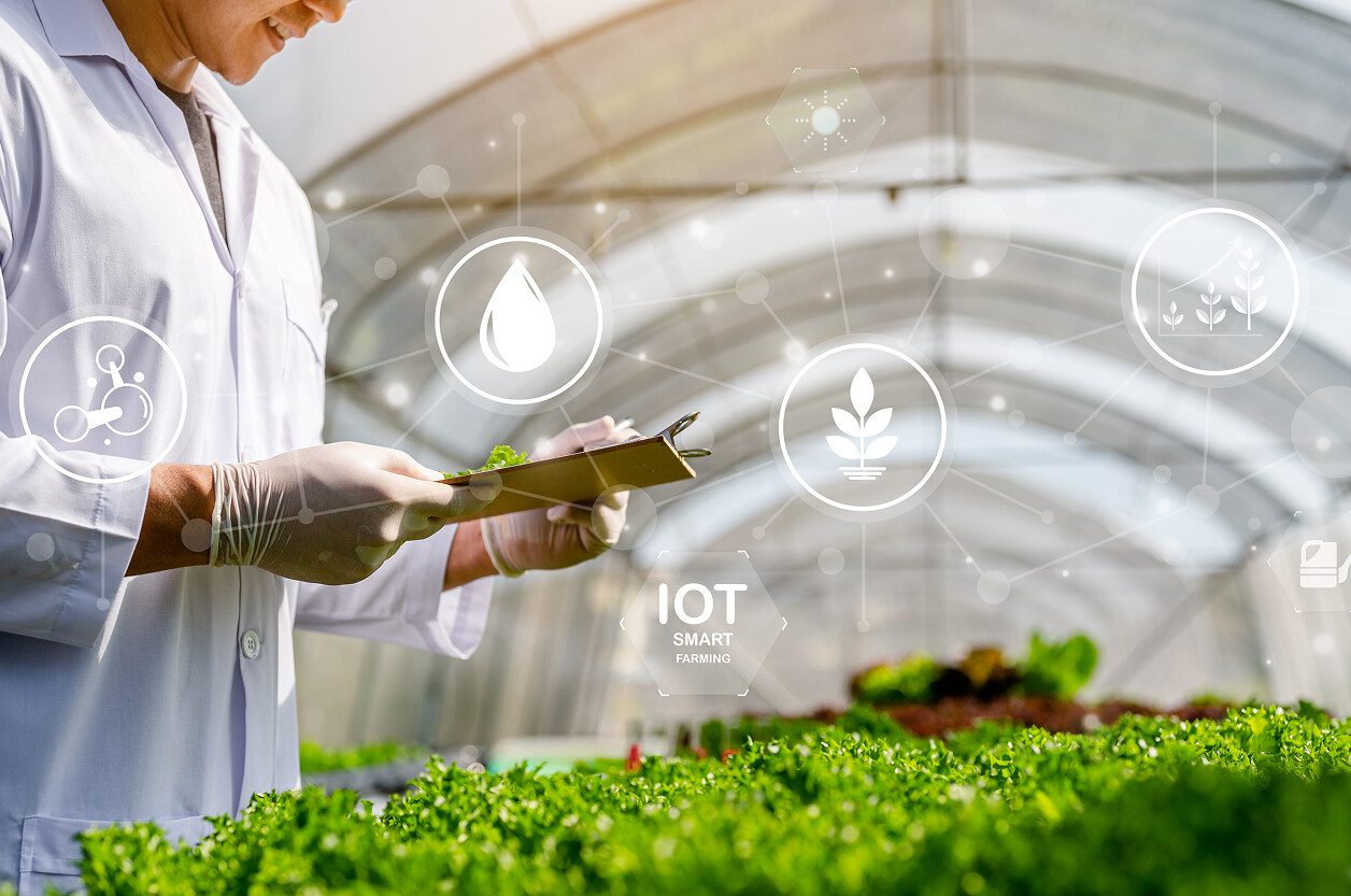 Low-Power Embedded Networks: The Backbone of Smart Agriculture