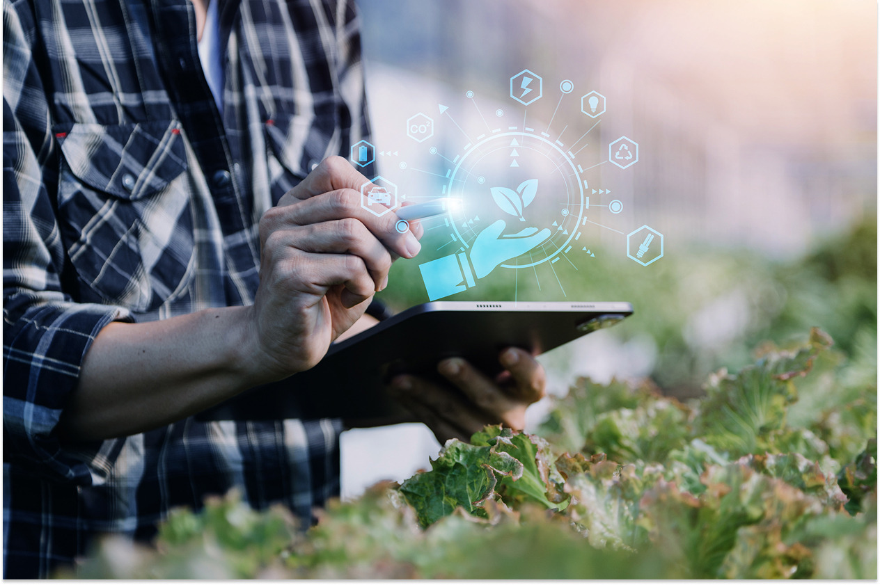 LoRaWAN vs NB-IoT: Choosing the Right LPWAN for Smart Agriculture