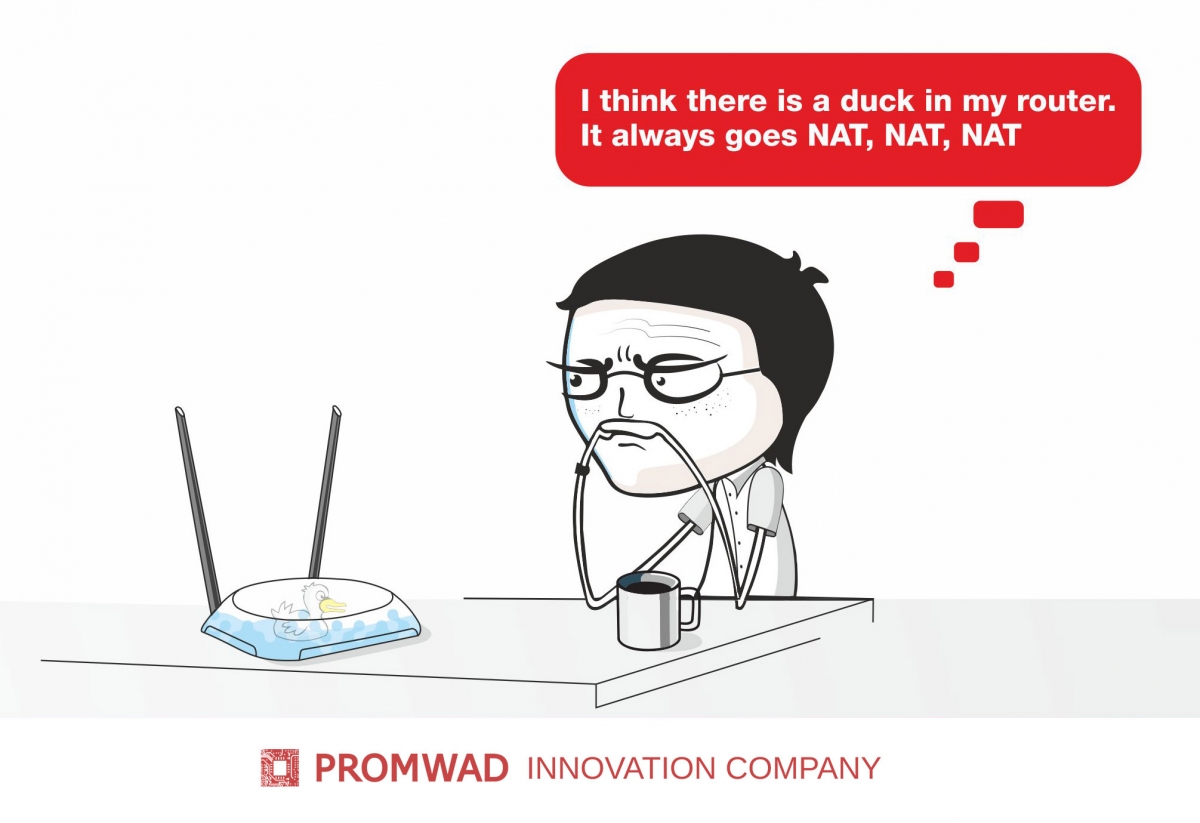 Promwad engineering cartoons: a duck in the router